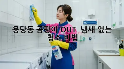 용당동 곰팡이 OUT! 💨 냄새 없는 청소 비법✨
