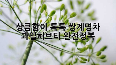 상큼함이 톡톡! 쌍계명차 과일허브티 완전정복 🍹✨